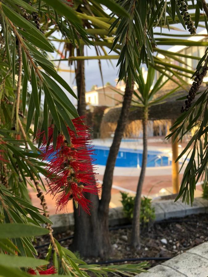 Hotel Mencia Subbetica Донья-Менсия Экстерьер фото